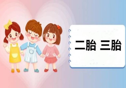 2023借卵试管包生男孩费用，及申请条件