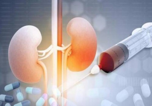 惠州试管助孕价格：试管优孕私人定制，提供安全、高效的辅助生育方案